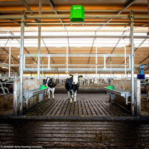 家畜监控系统 - Autolift - Spinder Dairy Housing Concepts - 动物活动 / 无线