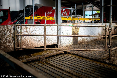 畜牧养殖护栏 - Telescopic partition barrier - Spinder Dairy Housing Concepts - 加固 / 牛用 / 金属