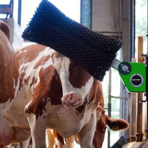 畜牧养殖刷子 - Nirvana - Spinder Dairy Housing Concepts - 旋转式 / 奶牛 / 卧式
