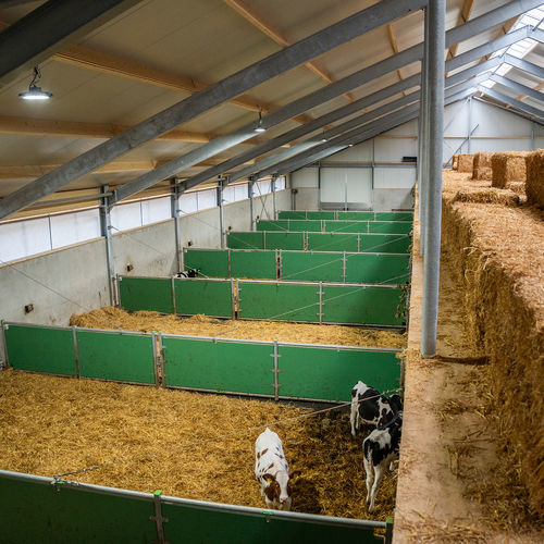 畜牧养殖隔板 - partition barriers with panels - Spinder Dairy Housing Concepts - 牛 / 塑料 / 金属