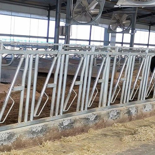 奶牛颈枷 - Tai'an Yimeite Machinery Co., Ltd. - 自锁 / 管状
