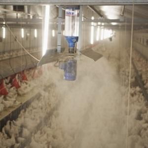 家禽自动喂料系统 - Rotra - VDL AGROTECH B.V.