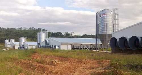 饲料筒仓 - VDL AGROTECH B.V. - 电镀钢 / 锥底 / 模块化