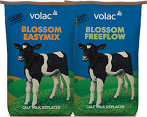 牛犊代乳品 - Blossom  - Volac - 粉末