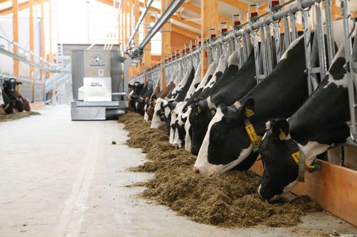 分析软件 - DIGIMILK - WASSERBAUER GmbH Fütterungssysteme - 数据管理 / 农用 / 送料