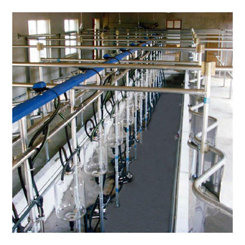 奶牛挤奶厅 - Zibo Lujin Machinery Factory - 平行