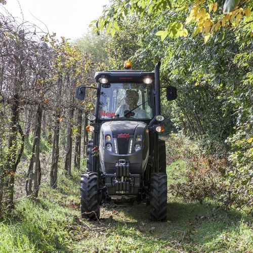 窄轮距拖拉机 - VIGNETO - Carraro Tractors - 机械传动式 / 葡萄园 / 多气缸