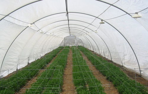 防虫网 - Optinet Mesh series - Ginegar Plastic Inc