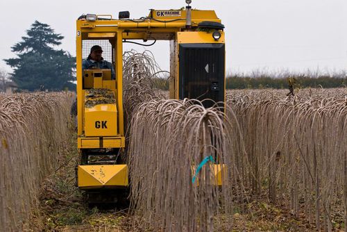 自走式土球挖树机 - H7  - G K Machine, Inc.