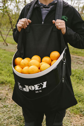 采摘袋 - 08 - Joey Fruit Picking Bags