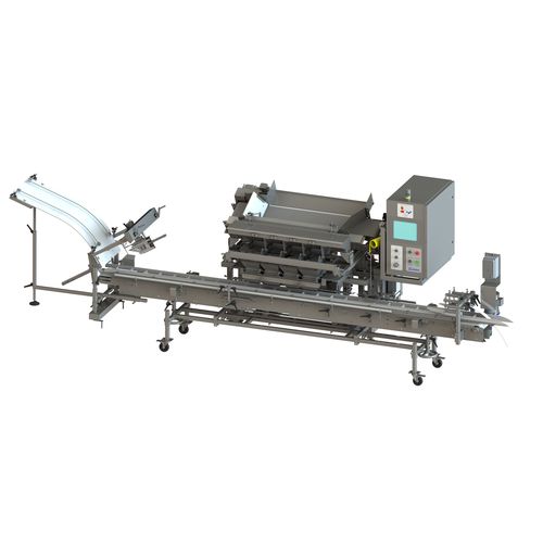 水果包装机 - WFMP60 - A & B Packing Equipment, Inc. - 自动