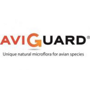 动物饲料补充剂 - AVIGUARD - Lallemand Animal Nutrition - 家禽 / 含有酵母 / 干式