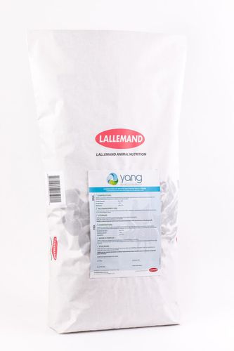 动物饲料补充剂 - YANG - Lallemand Animal Nutrition - 牛 / 家禽 / 马用