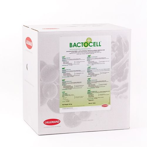 酸化剂饲料添加剂 - BACTOCELL - Lallemand Animal Nutrition - 家禽 / 猪 / 鱼