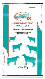 动物饲料补充剂 - Energy Booster 100® - Milk Specialties Global - 牛 / 脂肪 / 脂肪酸