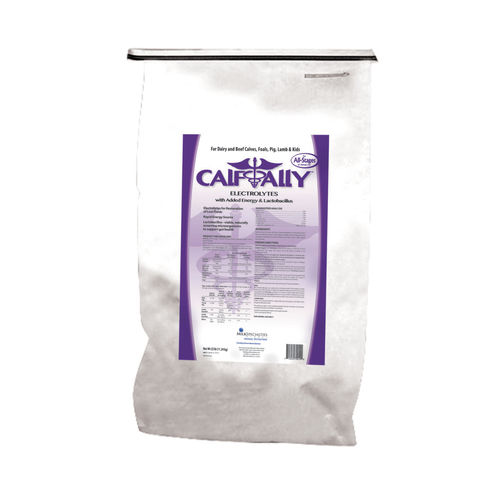 微生物饲料添加剂 - CalfAlly® Electrolytes - Milk Specialties Global - 猪 / 绵羊 / 牛犊