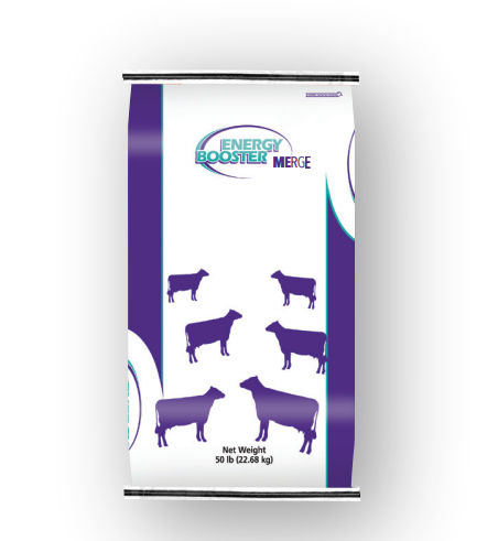 动物饲料补充剂 - Energy Booster Merge® - Milk Specialties Global - 牛 / 脂肪 / 脂肪酸