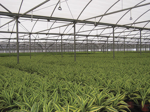 固定喷灌器 - SUPER SPRAY	 - Senninger Irrigation, Inc.