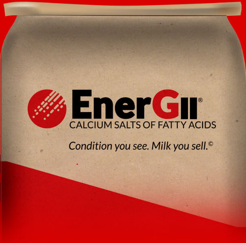 动物饲料补充剂 - EnerGII - Virtus Nutrition LLC - 牛 / 钙 / 酸性