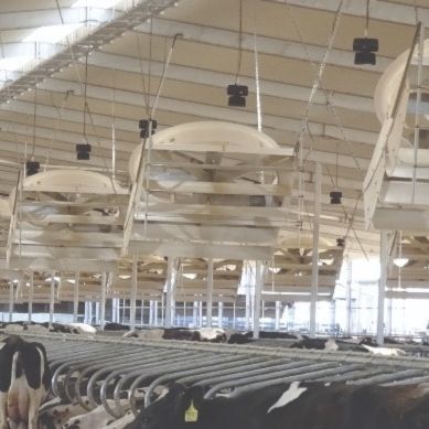 养殖场通风风扇 - 104382 - Artex Barn Solutions LTD. - 再循环 / 带框架 / 玻璃纤维