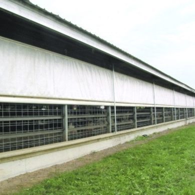 卷帘隔帘系统 - Artex Barn Solutions LTD. - 用于畜牧业 / 自动