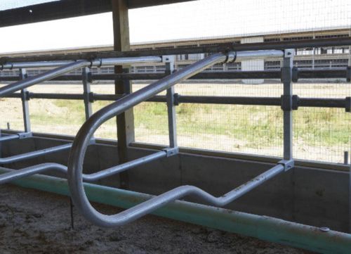 牛舍隔栏 - Y2K  - Artex Barn Solutions LTD.