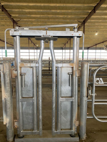奶牛固定栏门 - Artex Barn Solutions LTD. - 手动紧固式