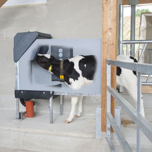 犊牛漏斗喂食器 - HL100 - Calf Star - 不锈钢 / 自动 / 可编程