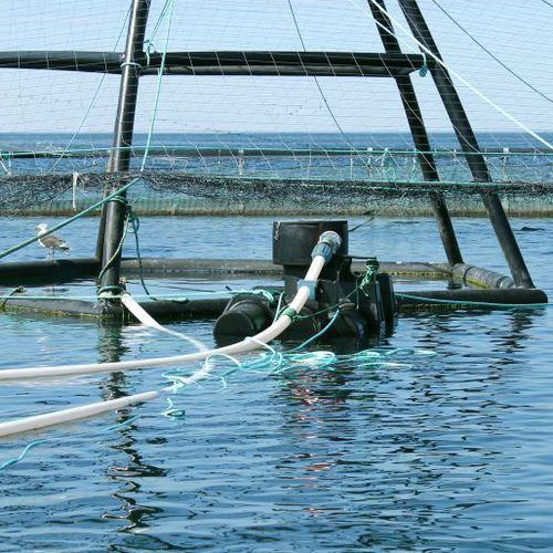 大炮饲养系统 - SUBFEEDER - Steinsvik AS - 水产养殖 / 浮动