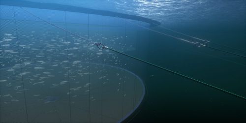 水池隔断水产养殖用网 - Vónin - 尼龙 / Dyneema® / 聚乙烯