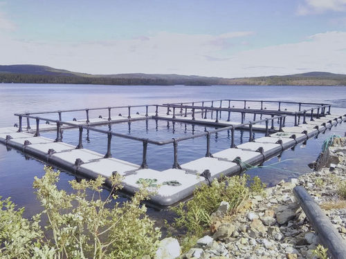 浮动鱼类养殖网箱 - Hvalpsund Net a/s - 正方形