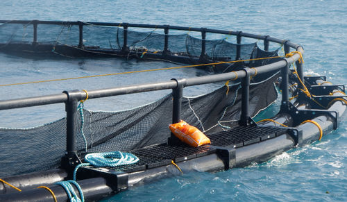 浮动鱼类养殖网箱 - THE 450 - Mørenot Aquaculture AS - 圆形