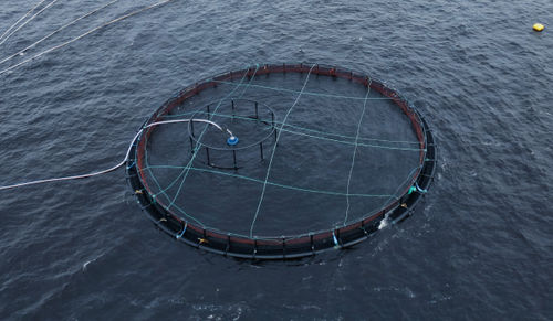 浮动鱼类养殖网箱 - THE 400 - Mørenot Aquaculture AS - 圆形