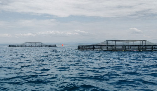 浮动鱼类养殖网箱 - THE 315 - Mørenot Aquaculture AS - 圆形