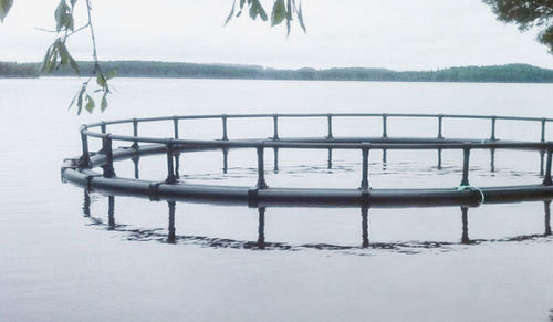 浮动鱼类养殖网箱 - THE 250 - Mørenot Aquaculture AS - 圆形