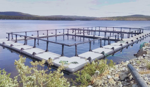 浮动鱼类养殖网箱 - Mørenot Aquaculture AS - 正方形