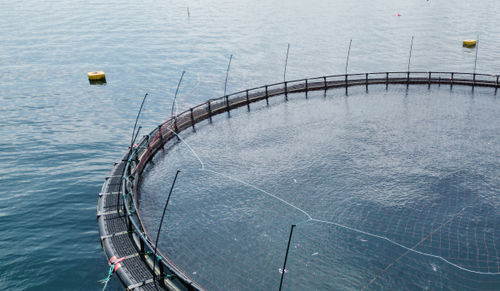 防鸟水产养殖用网 - Mørenot Aquaculture AS