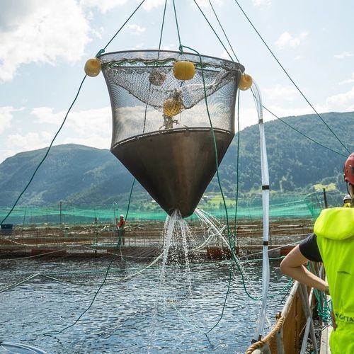 水池隔断水产养殖用网 - Bio Seize - Mørenot Aquaculture AS