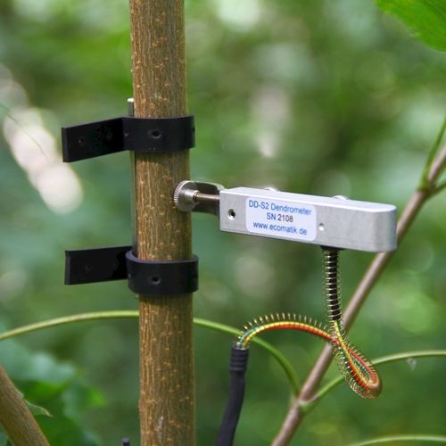 茎植物生长测量仪 - DD-S series - Ecomatik - 用于树 / 带数据记录器