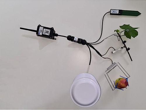 植物监控系统 - IoP - Ecomatik - 温度 / 智能型