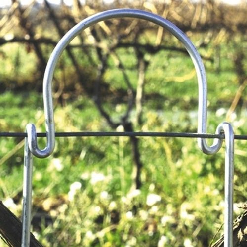 电镀钢植物支撑杆 - Ancr'est - 葡萄园