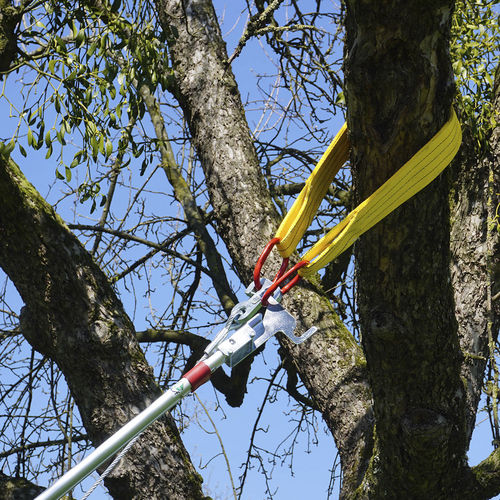 汽油橄榄收获机 - TS - FEUCHT Obsttechnik GmbH