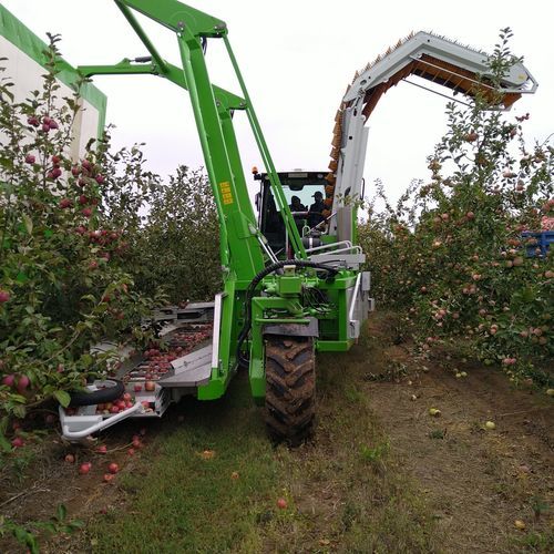 摇振收集式采收机收割机 - OE4.4 - FEUCHT Obsttechnik GmbH - 水果 / 李子 / 柑橘类