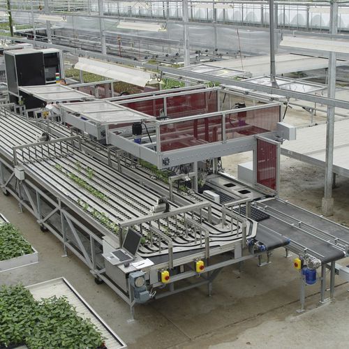 盆栽植物分拣机 - Flier Systems - 自动