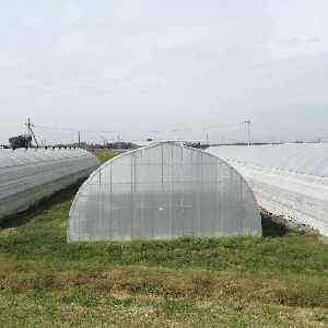 隧道式温室 - R- TU60,R- TU100,R- TUR96  - Rufepa - 花园 / 展览 / 塑料