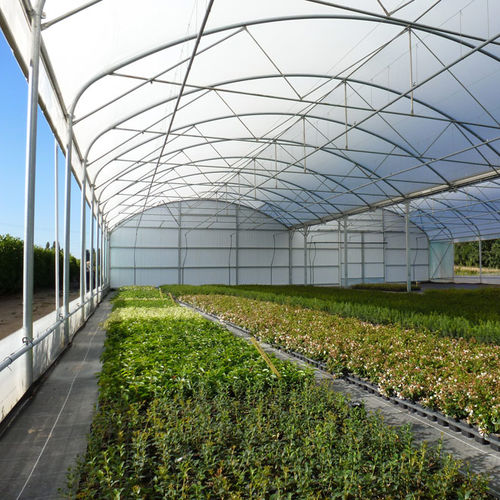 多尖顶温室 - SERRE PROFESSIONNELLE MULTITUNNEL ATLANTIQUE - SERRES JRC - 园林花卉 / 塑料 / 永久性