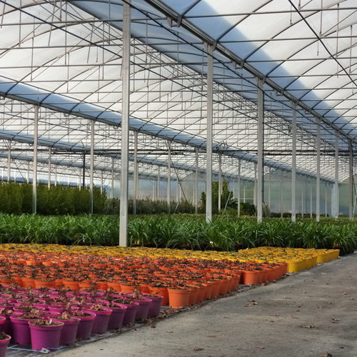 多尖顶温室 - SERRE PROFESSIONNELLE HORTICOLE MULTICHAPELLE ATLANTIQUE - SERRES JRC - 园林花卉 / 塑料 / 永久性