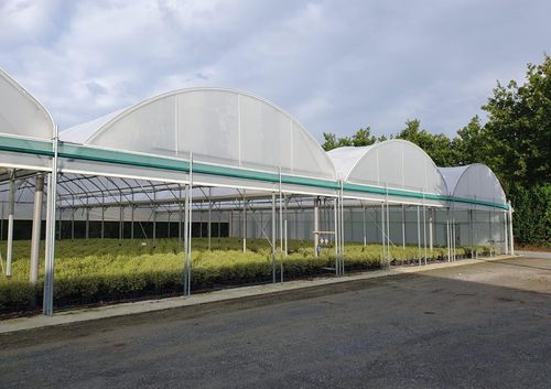 多尖顶温室 - SERRE PROFESSIONNELLE HORTICOLE BALTIQUE - SERRES JRC - 苗木 / 塑料 / 钢结构