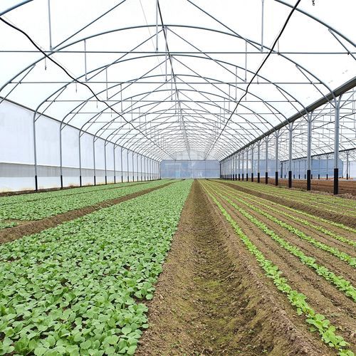 连栋温室 - MULTITUNNEL A PIEDS DROITS SERRE PROFESSIONNELLE - SERRES JRC