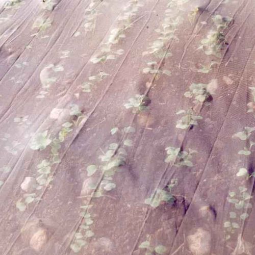 防虫网 - Filbio®, Biothrips® - Texinov - 农作物 / 农业建筑用